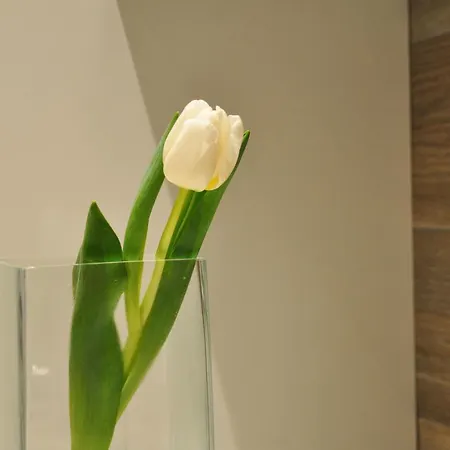 Luxury Cervia, 2 With 1 Swimming Pool