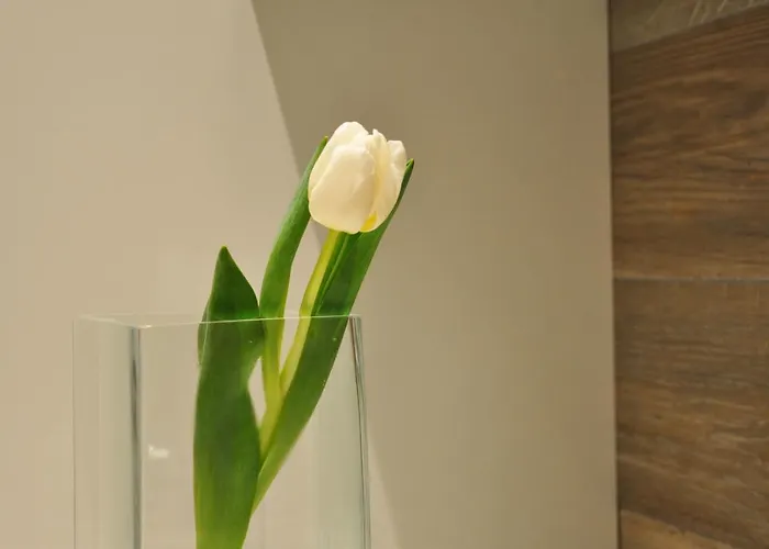 Luxury Cervia, 2 With 1 Swimming Pool